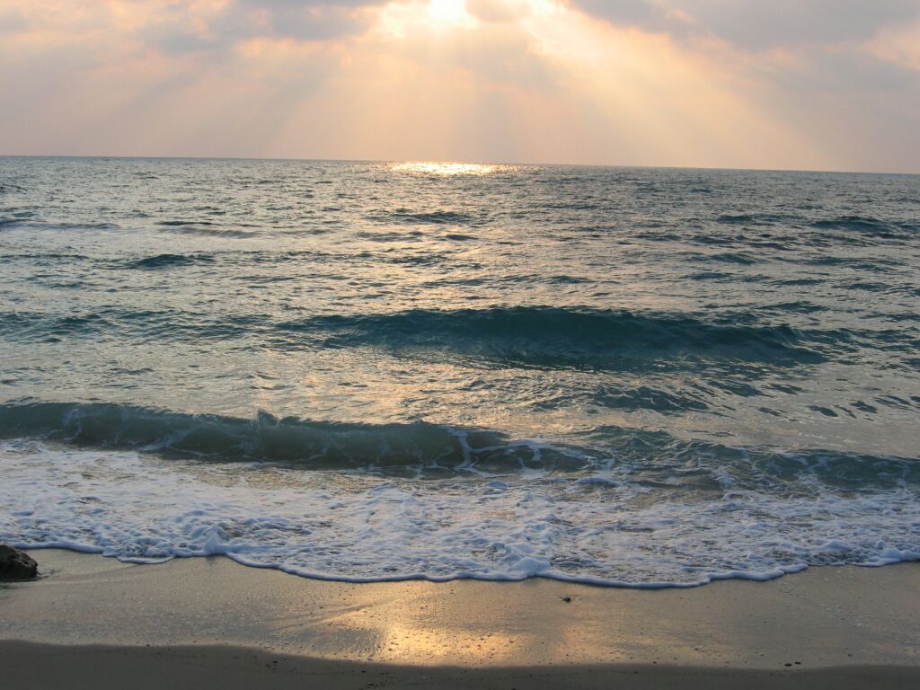 Диана Пташинская