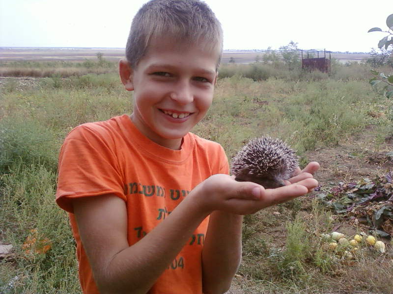 Тимур Меженский