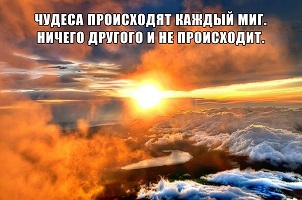 Олеся Максимовская