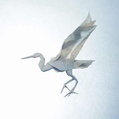 Птица Белая