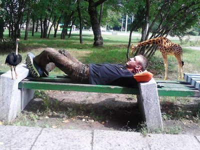 Афоризмы От Балды