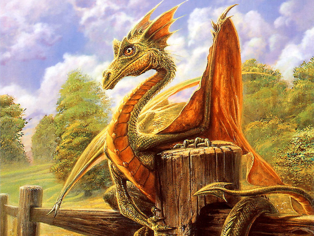 Земцов Дмитрий