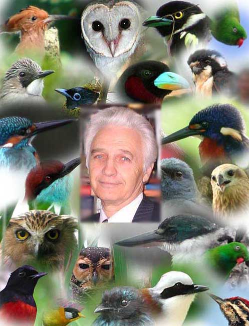 Владимир Паевский