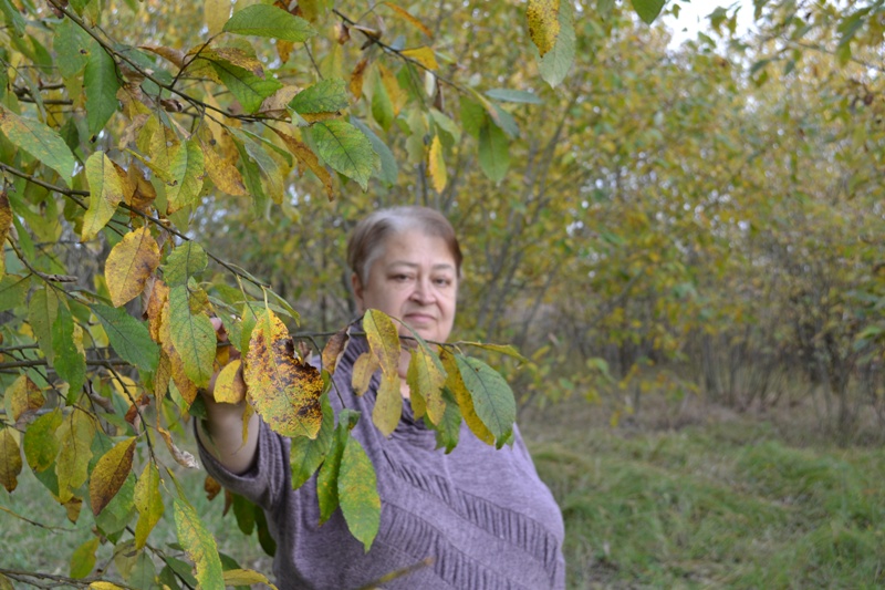 Ксения Питиримова