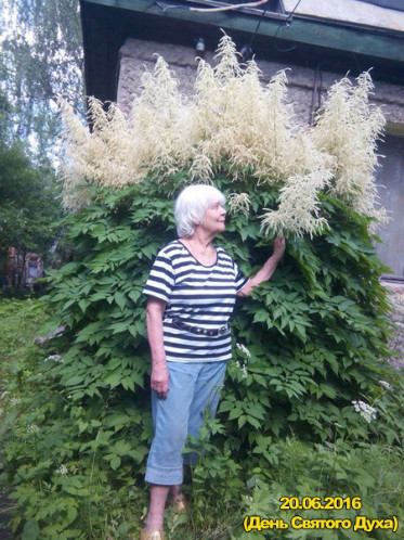Юлия Иоаннова-Иванова