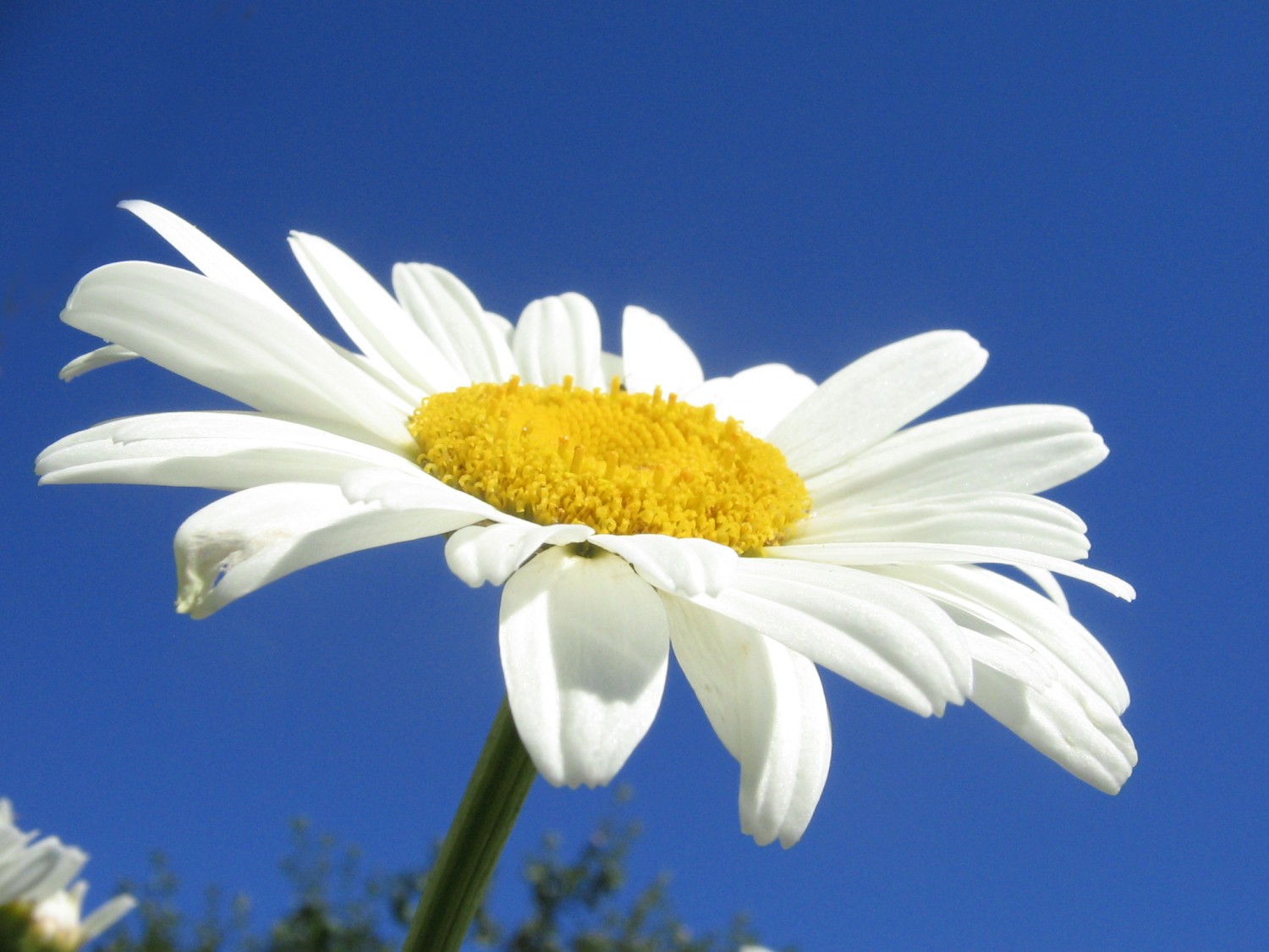 Наталия Ковалевская