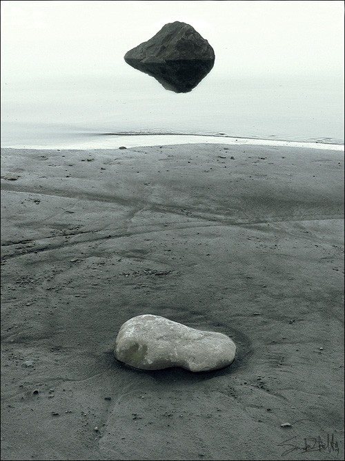 Тауни Балфор 2