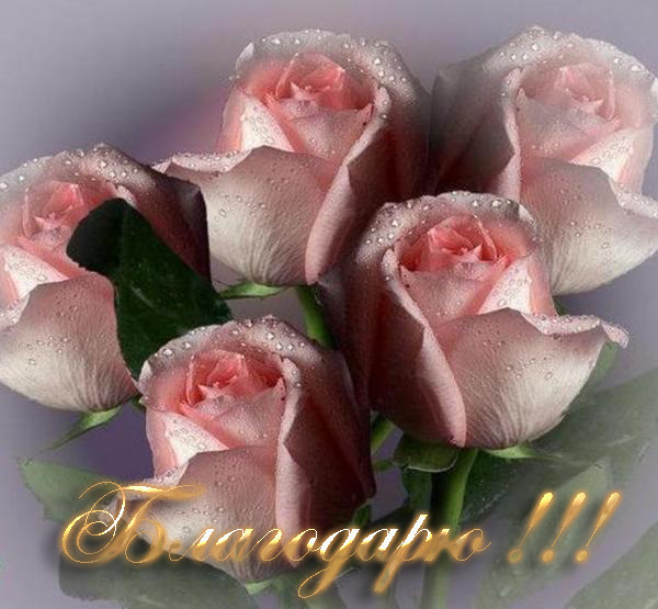 Маргарита Репникова
