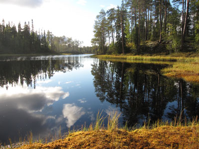 Мартын Каров