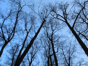 Лана Смыслова