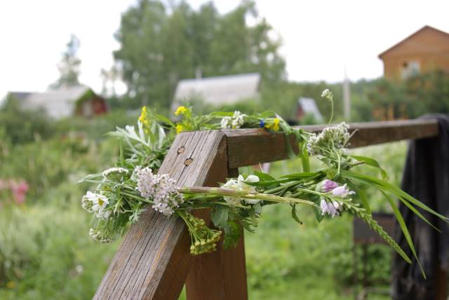 Рената Петухова