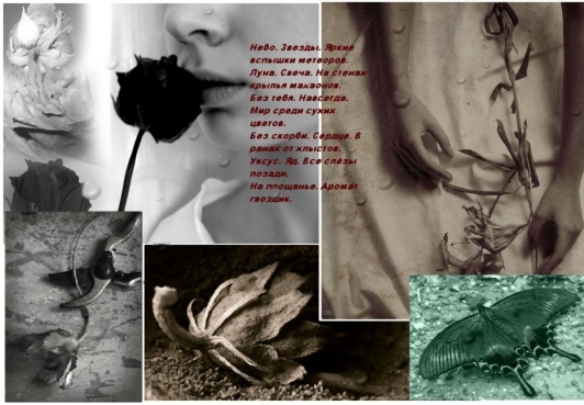 Елена Федькина