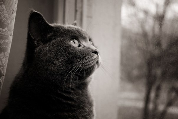 Сергей Стукалов