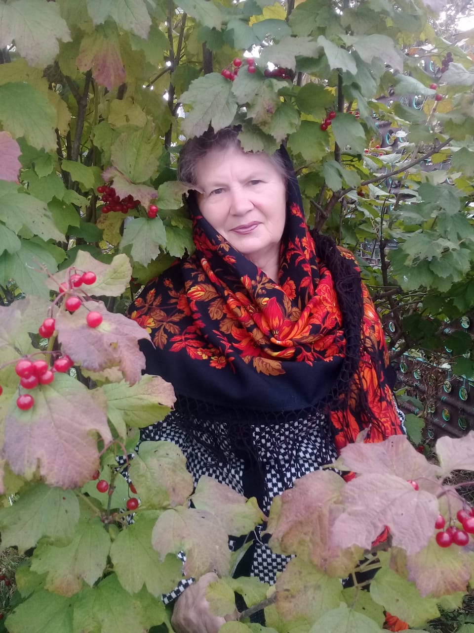 Светлана Сола