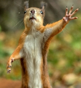 Не Обязательно