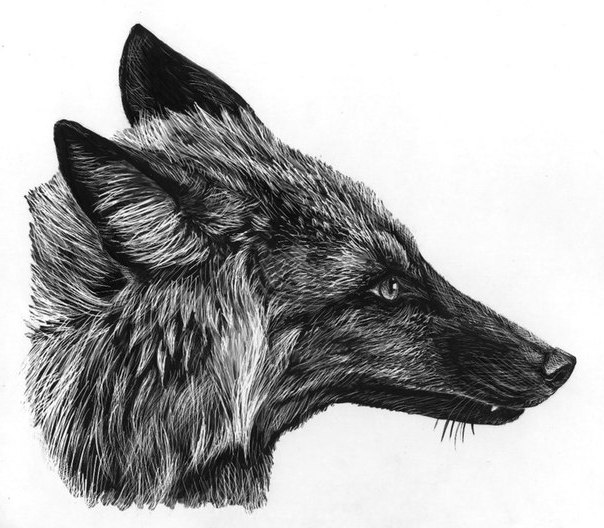 Хрустальный Лис