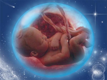 Маугли Космический