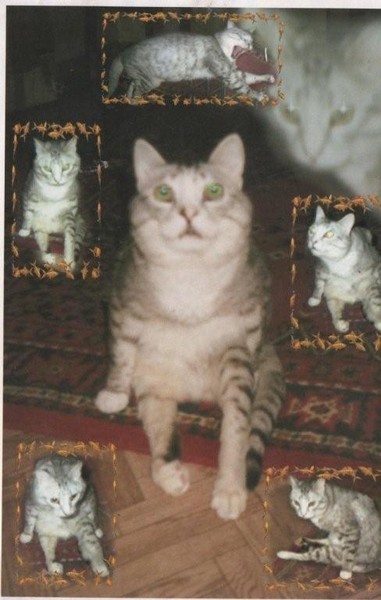 Сергей Георг Сретенский 2