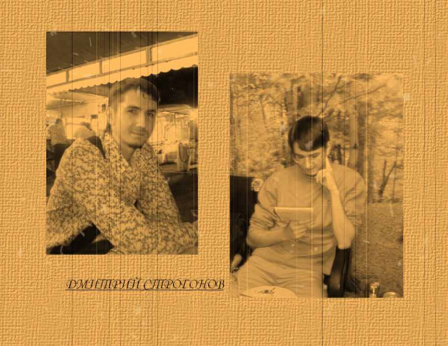 Дмитрий Строгонов