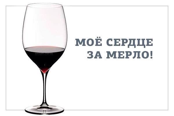 Светлана Лазарева 3