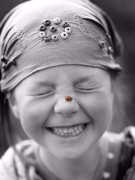 Божья Карофка