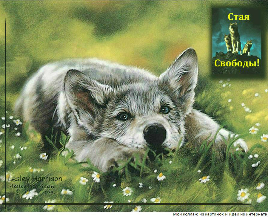 Алла Тангейзер