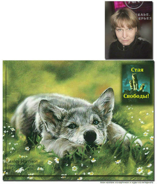 Алла Тангейзер 21