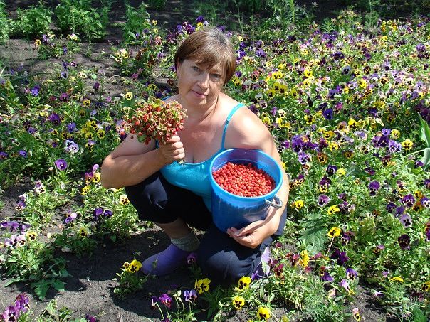 Татьяна Цибизова