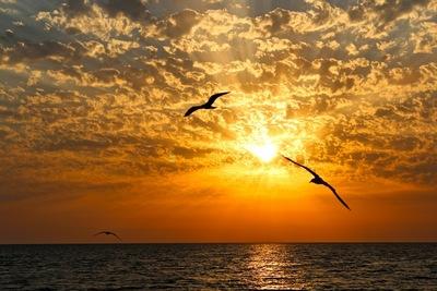 Татьяна Лодейнопольская