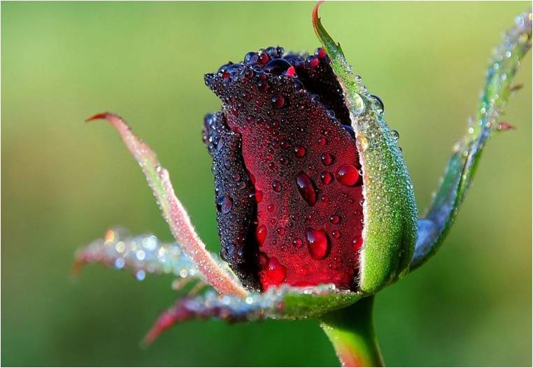 Татьяна-Т Федорова