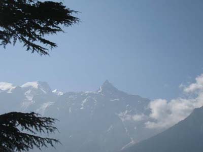 Татьяна Оселедец