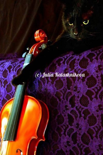 Юлия Васильевна Калашникова