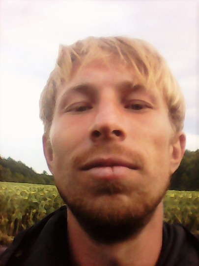 Конь Во Клевере