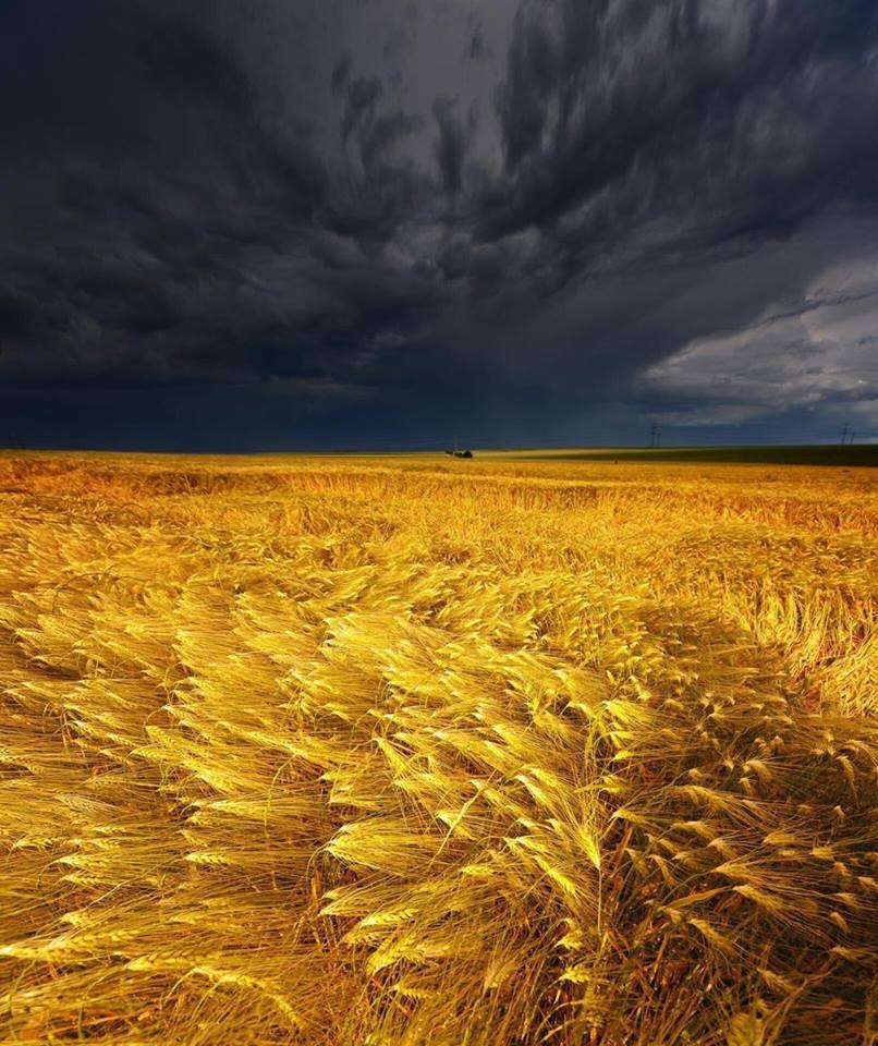 Анастасия Троффимова