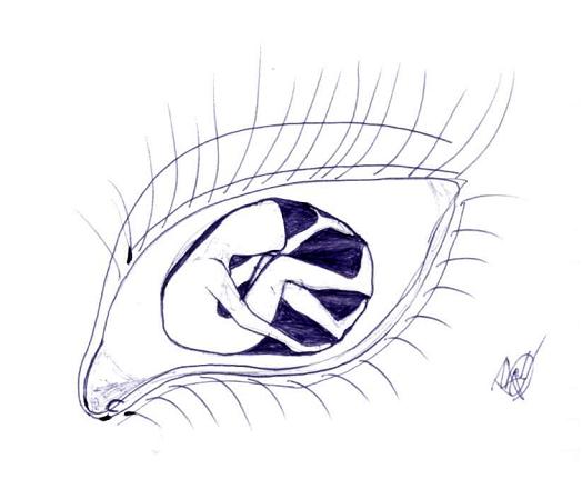 Наталия Серова