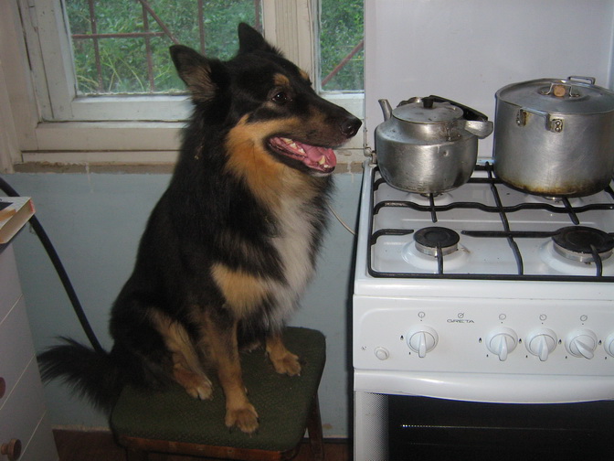 Валерий Старков