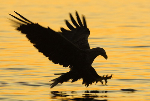 Владимир Ветров 2