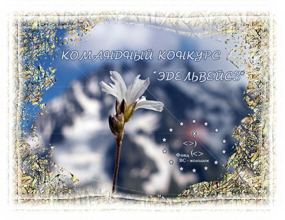 Конкурс Эдельвейс3