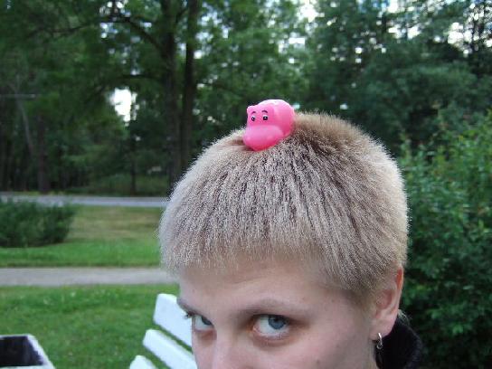 Вероника Ввс