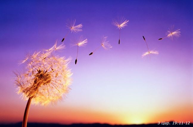 Веяние Тихого Ветра