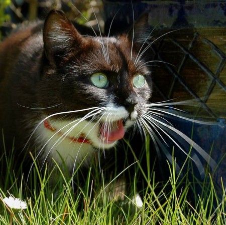 Виктор Ярошевский -Любовь