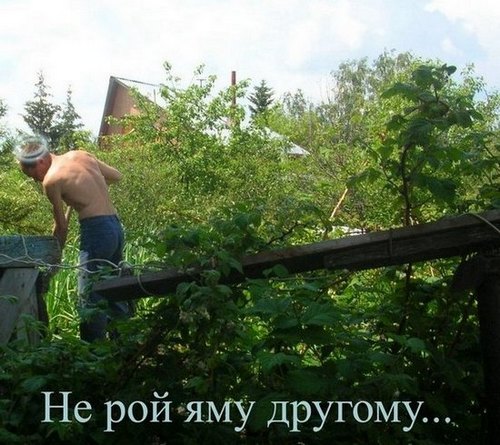 Виннимаус