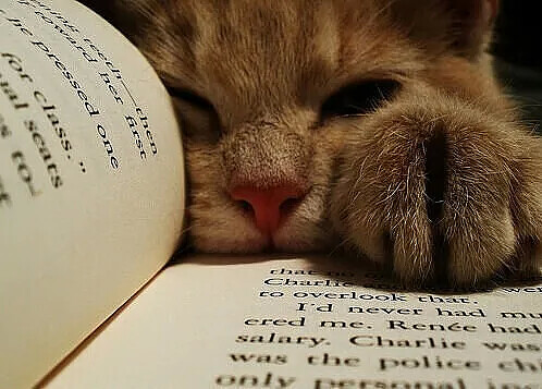 Азарова Ольга Вишня