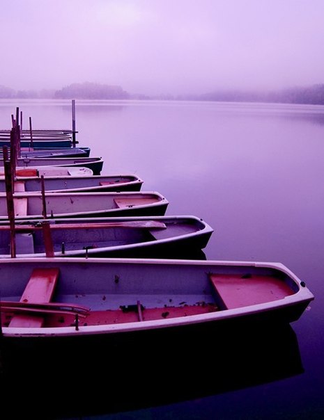 Владэмир Ярыш