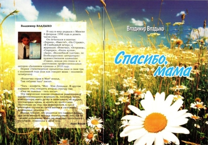 Владимир Владыко