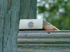 Герман Власов