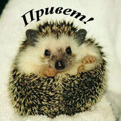 Вольдемар Шумерский