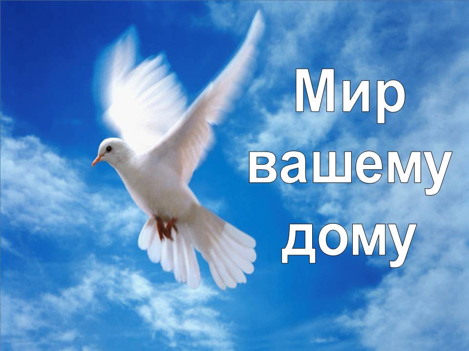 Владимир Иванов 19