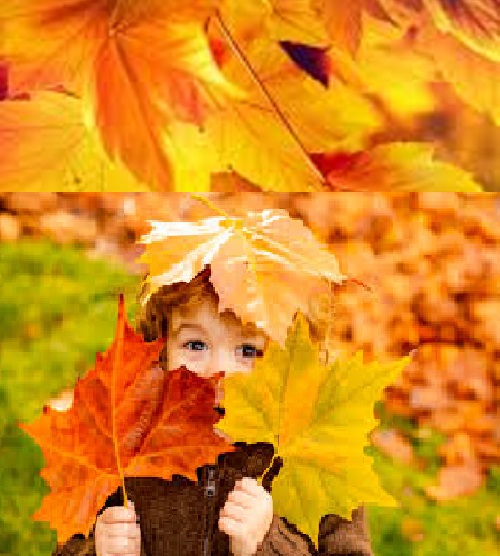 Парад Иллюзий