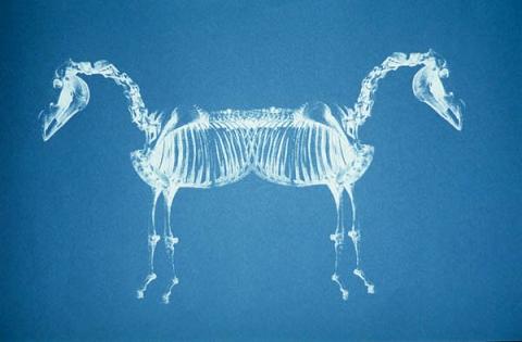 Вперёд Назадов